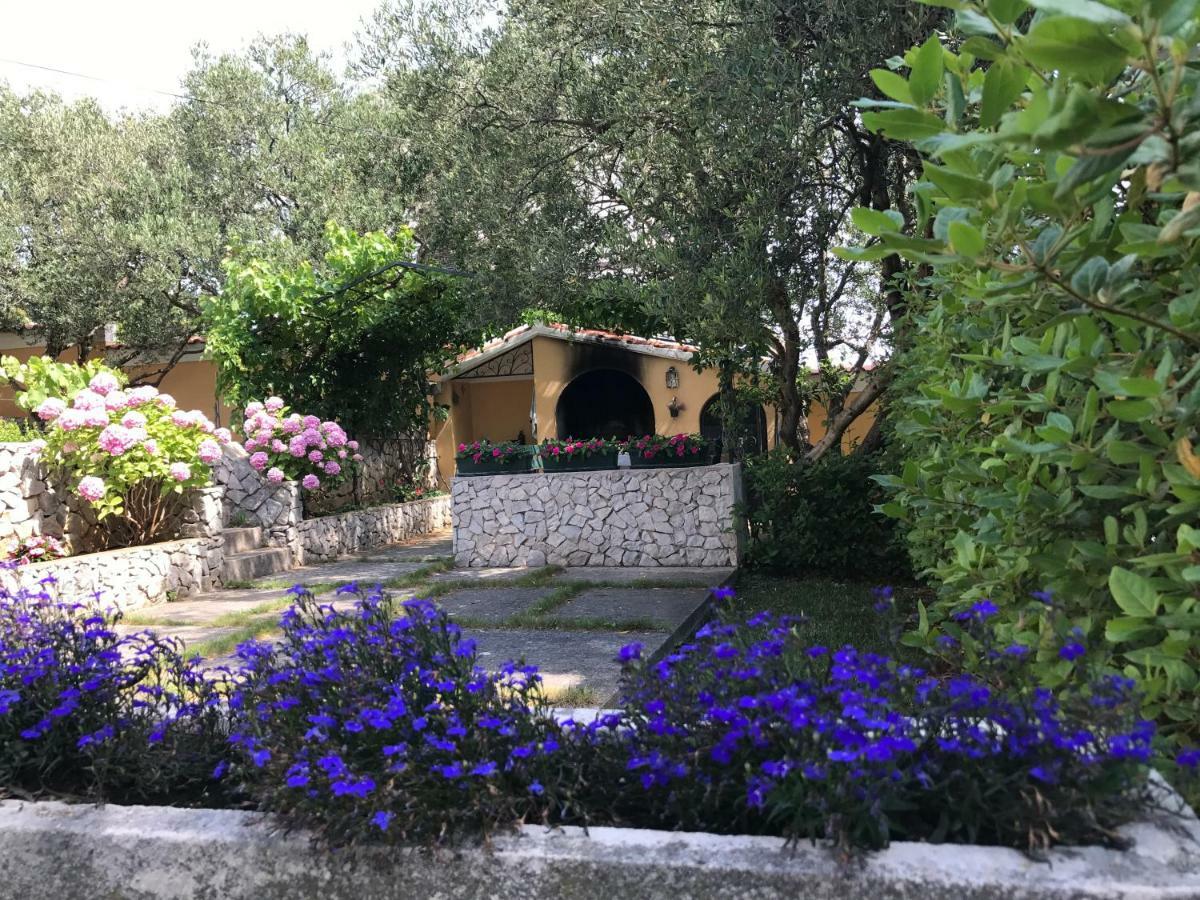 Vila Rojana Vodice Exteriör bild